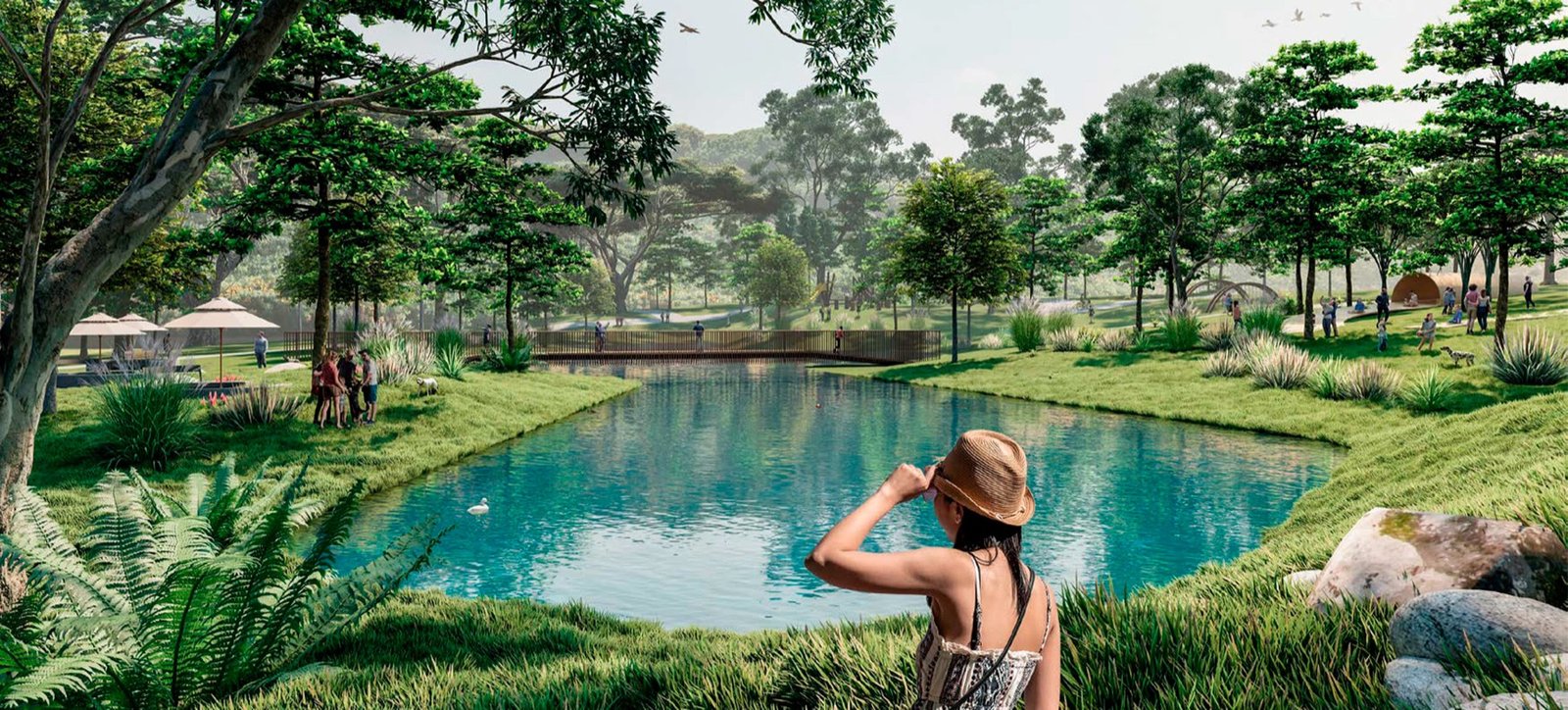 Laguna y naturaleza